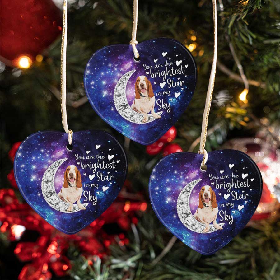 The-Brightest-Star-Of-Mine-Basset-Hound-Dog-Lover-Ceramic-Ornament-1