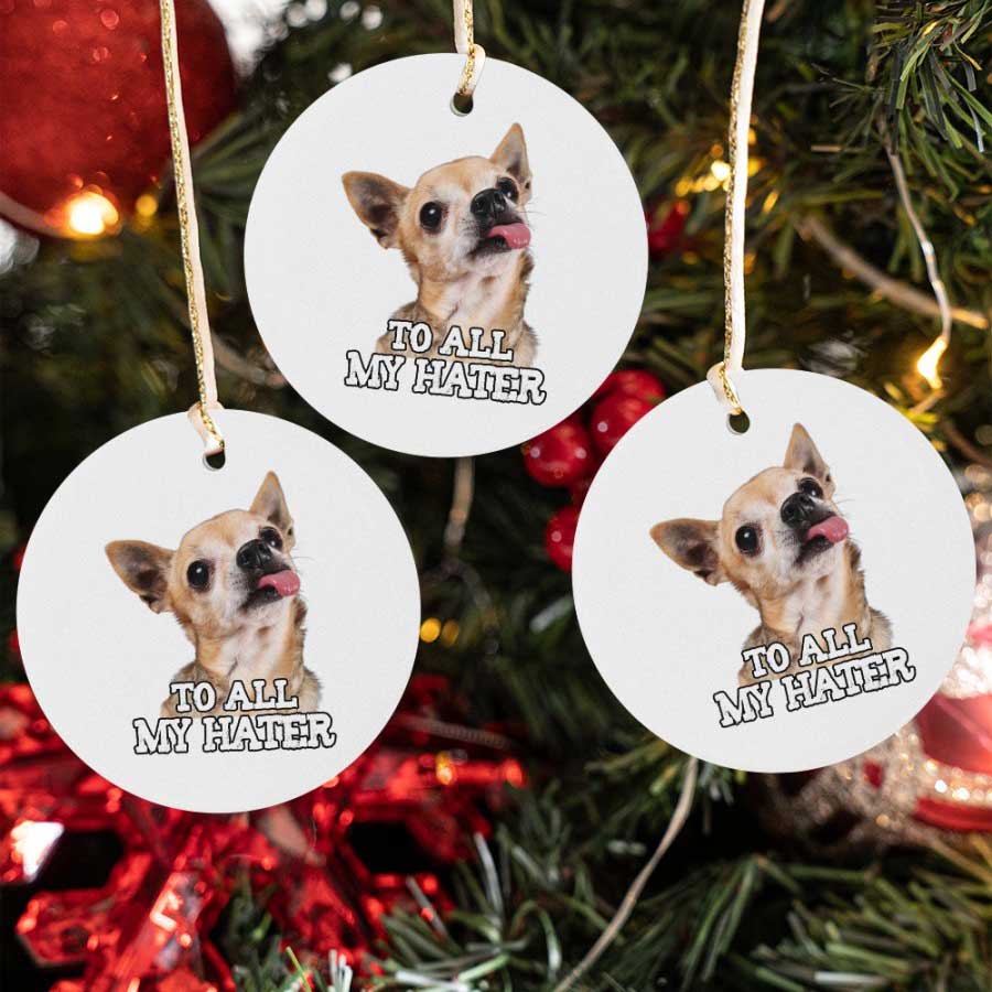 To-All-My-Hater-Chihuahua-Dog-Lover-Ceramic-Ornament-1