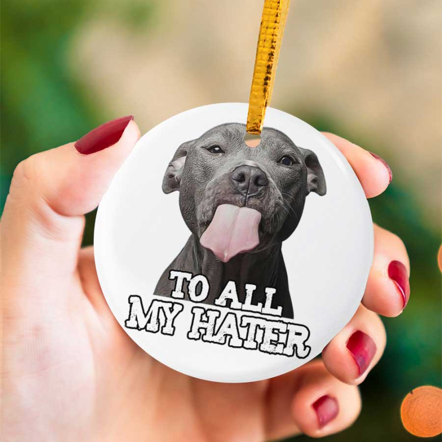 To-All-My-Hater-Pitbull-Dog-Lover-Ceramic-Ornament To All My Hater Pitbull Dog Lover Ceramic Ornament