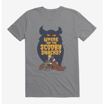 Scooby-Doo Where Are The Scooby Snacks Kid Tee - Unisex T-Shirt HTS3151