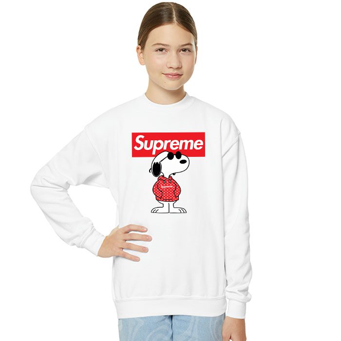 Supreme-x-Louis-Vuitton-Snoppy-Crewneck-Sweatshirt-CSTB0959-4