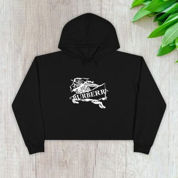 Burberry Logo Luxury Crop Pullover Hoodie For Lady CPH1072