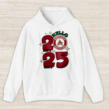 Arizona Coyotes Happy New Year NHL Gift For Fan Unisex Hoodie TAH22276